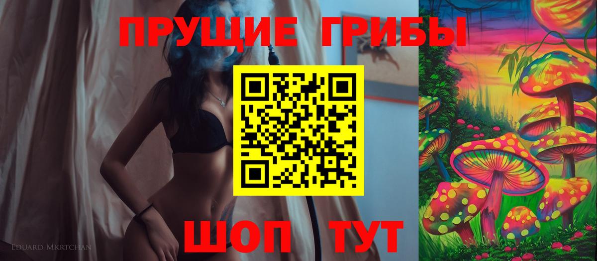 Псилоцибиновые грибы Psilocybe Усинск